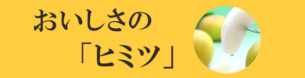 おいしさの「ヒミツ」